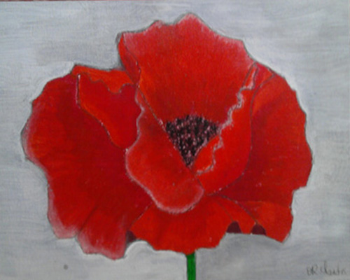 Mohnblume