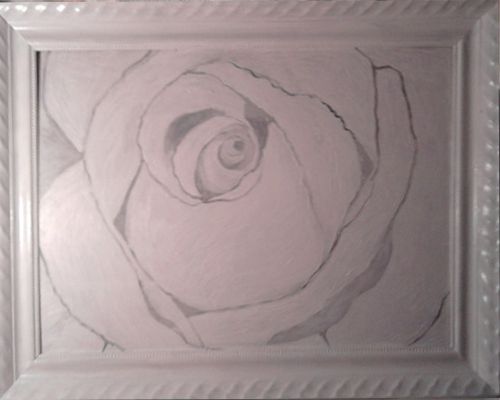 white rose